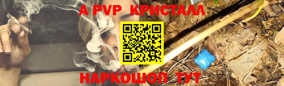Борзя  Альфа ПВП крисы CK  A PVP крисы CK  Вход с VPN  A-PVP СК 