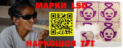дмт Славгород