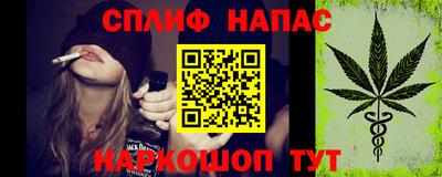 дмт Славгород