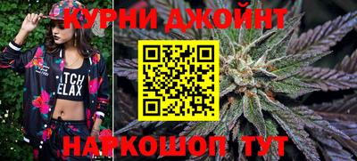 дмт Славгород