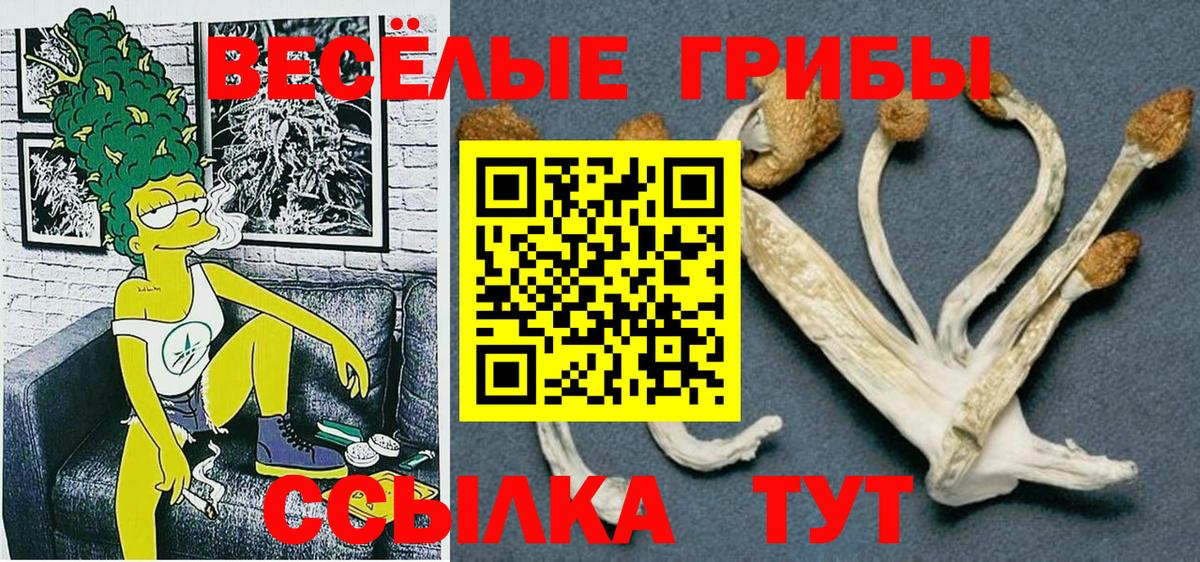 Галлюциногенные грибы прущие грибы  Галлюциногенные грибы ЛСД  Борзя  Вход с VPN 